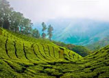 Munnar