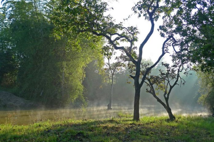 peechi-national-park